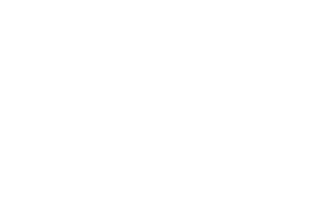 Logo Manhomes